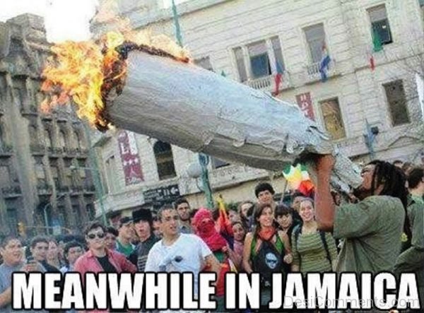 Meanwhile In Jamaica
