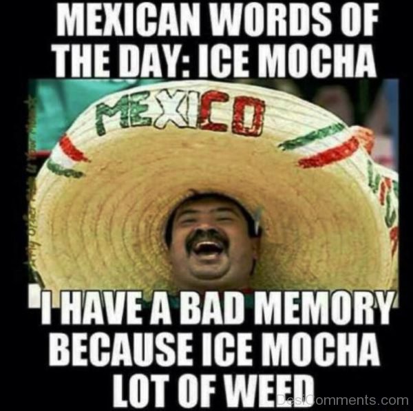 Mexican Words Of The Day