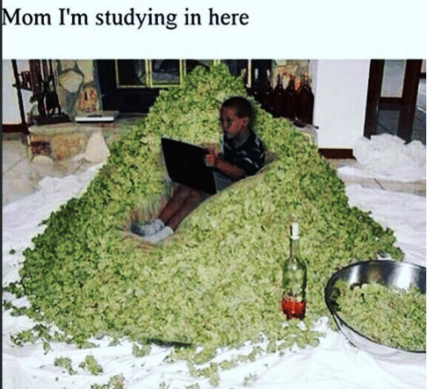 Mom Im Studying In Here