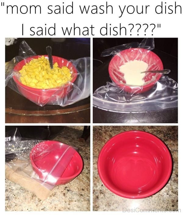 Mom Said Wash Your Dish