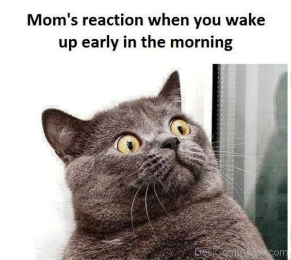Moms Reaction When You Wake Up