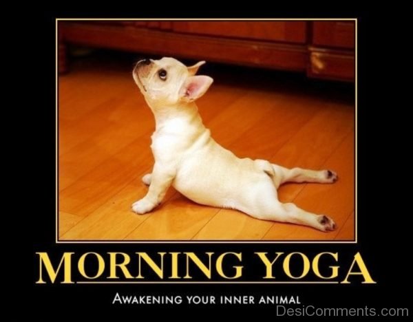 Morning Yoga