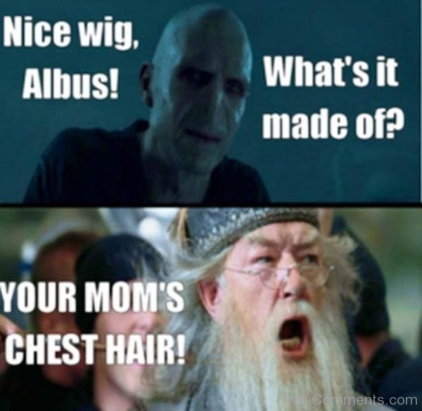 Nice Wig Albus