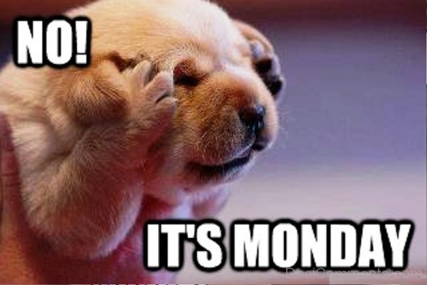 No Its Monday