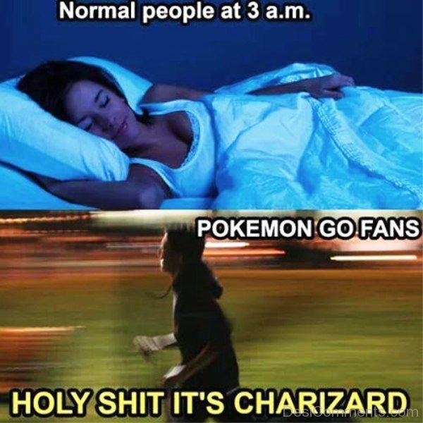 Normal People Vs Pokemon Go Fans
