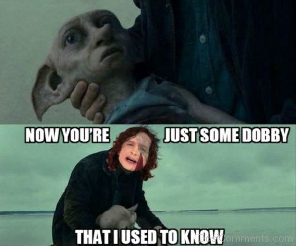 Now You re Just Some Dobby