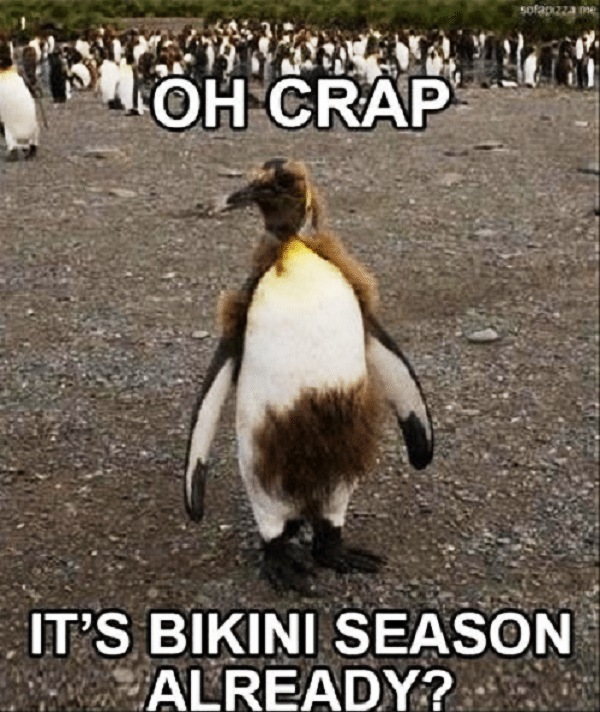 Oh Crap Its Bikini Season