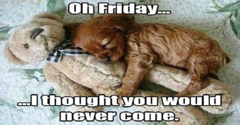 55 Wonderful Friday Memes.