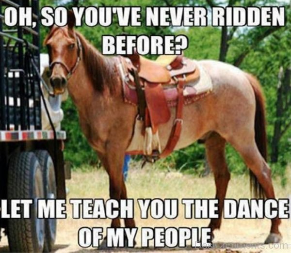 Oh So You ve Never Ridden Before