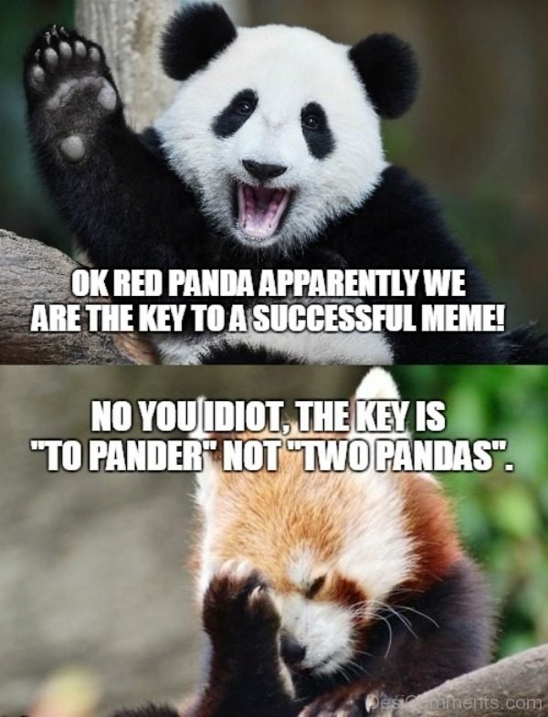 Ok Red Panda Apparently We Are The Key