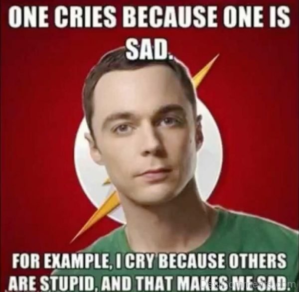 One Cries Because One Is Sad