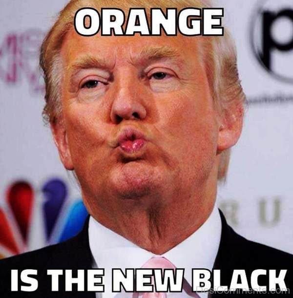 Orange Is The New Black