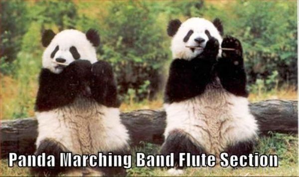 Panda Marching Band Flute Section