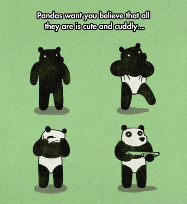 Pandas Want You Believe