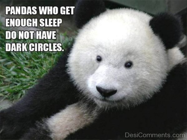 Pandas Who Get Enough Sleep