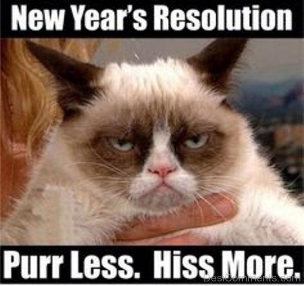 Purr Less Hiss More