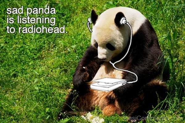 Sad Panda Is Listening To Radiohead