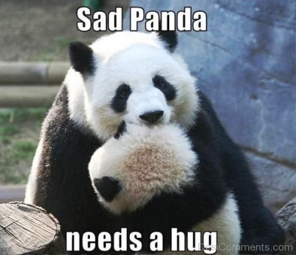 Sad Panda Needs A Hug