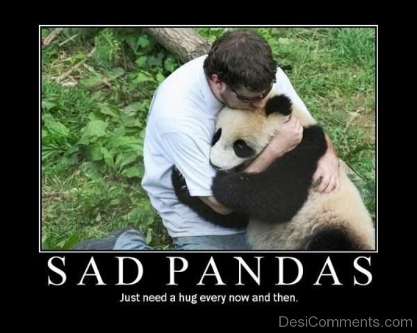 Sad Pandas