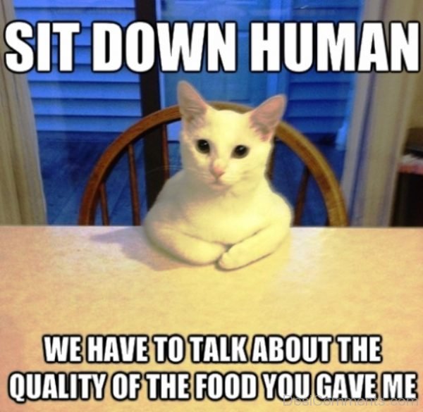 Sit Down Human