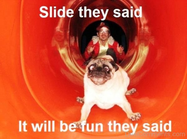 Slide They Said