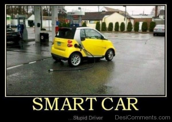 Smart Car Stupid Driver