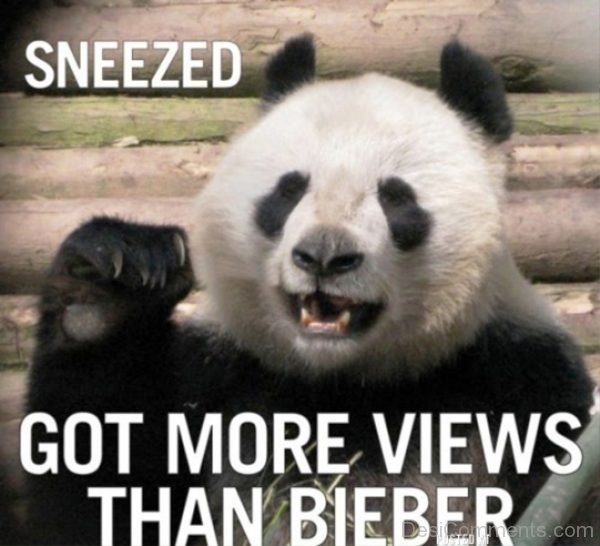 Sneezed Got More Views