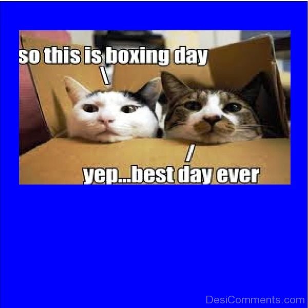 So This Is Boxing Day