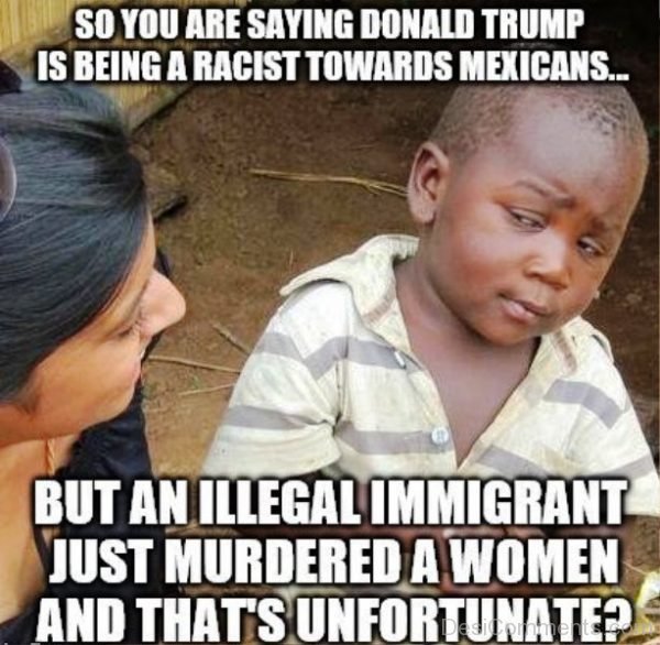 So You Are Saying Donald Trump