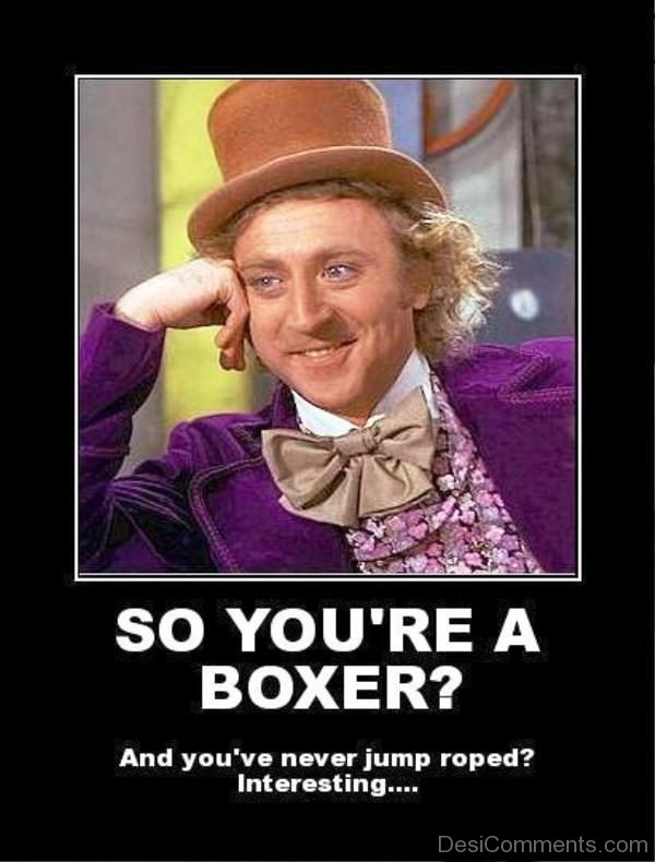So You re A Boxer
