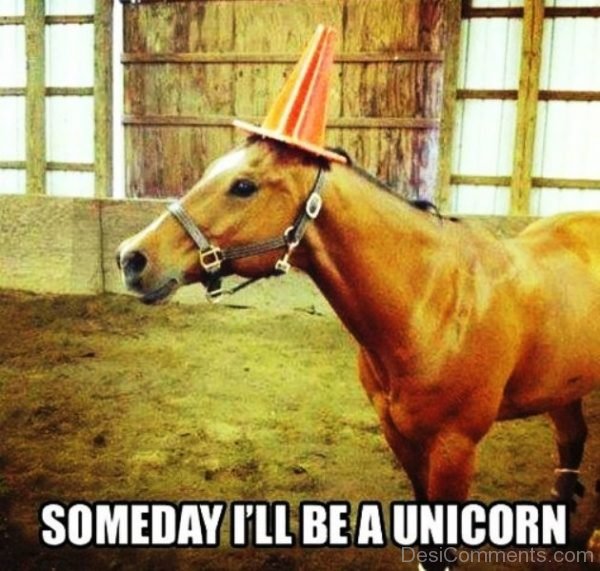 Someday I ll Be A Unicorn