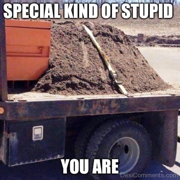 Special Kind Of Stupid You Are