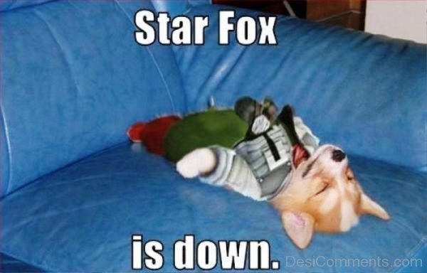 Star Fox Is Down