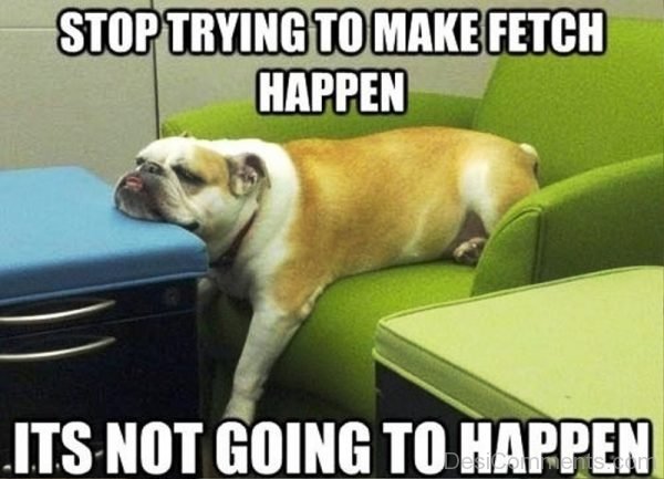 Stop Trying To Make Fetch Happen