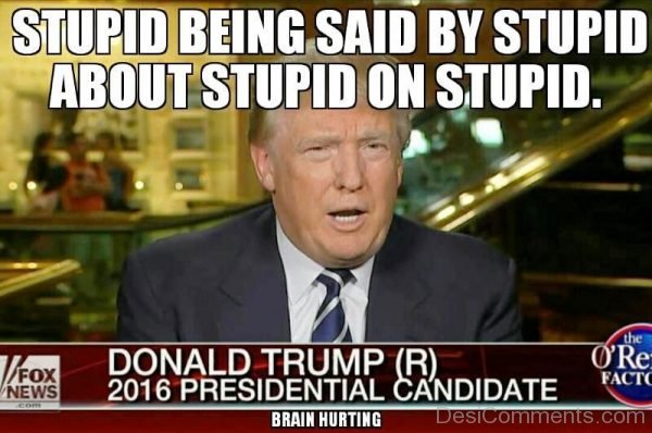 Stupid Being Said By Stupid