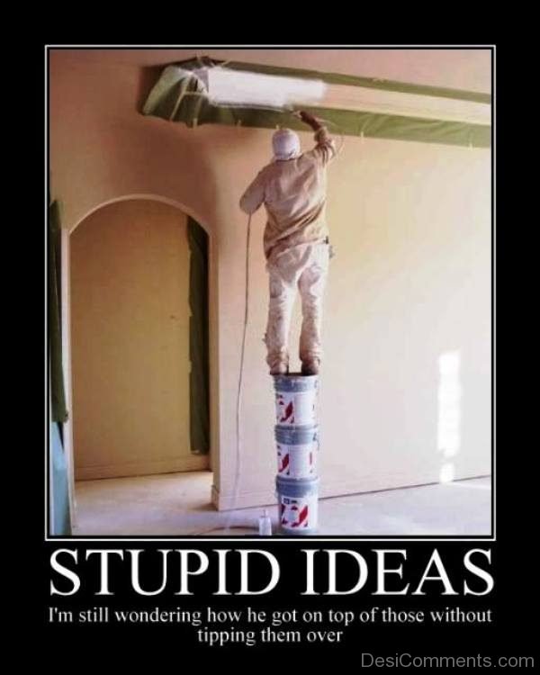 Stupid Ideas