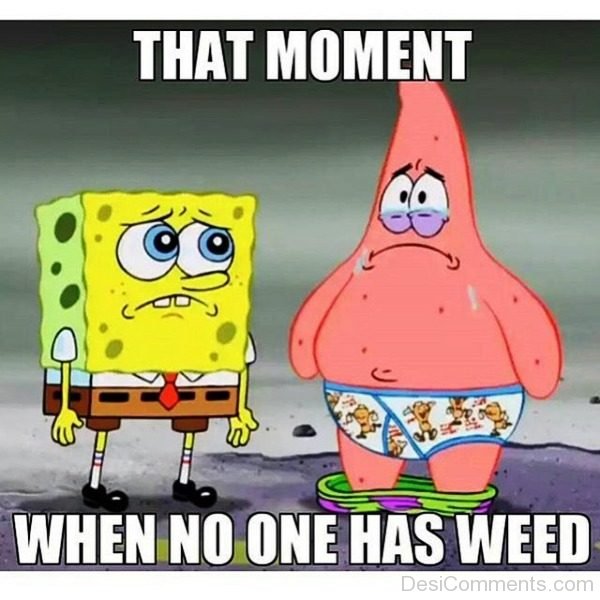 That Moment When No One Has Weed