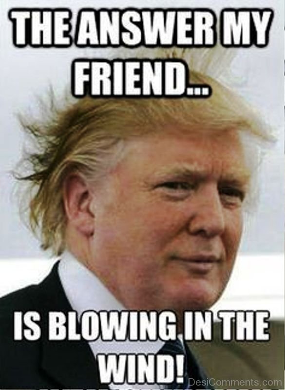 75 Brilliant Donald Trump Memes.