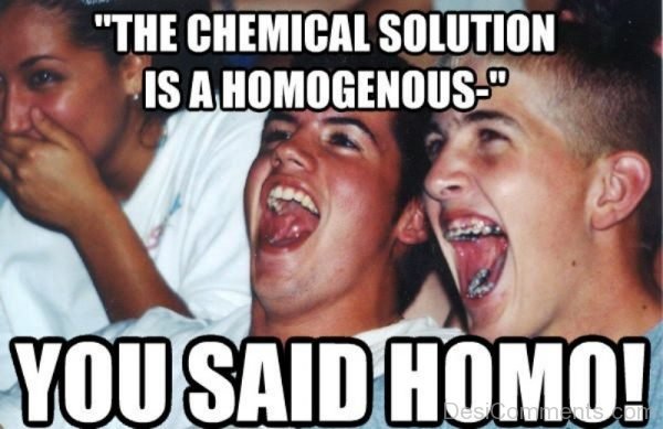 The Chemical Solution Is A Homogenous