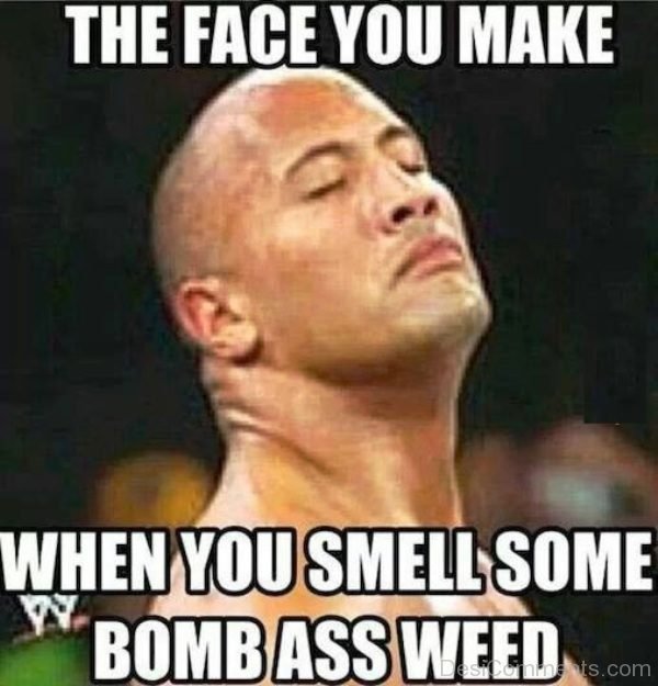 The Face You Make When You Smell