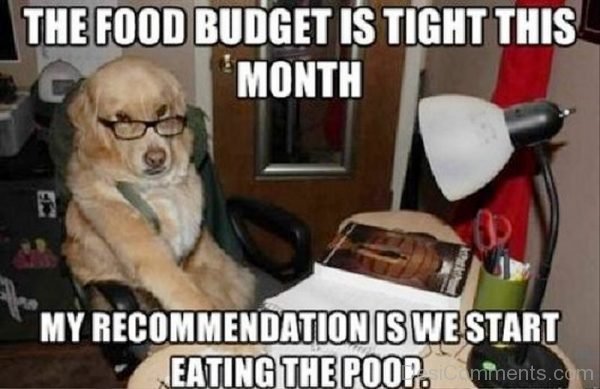 The Food Budget Is Tight