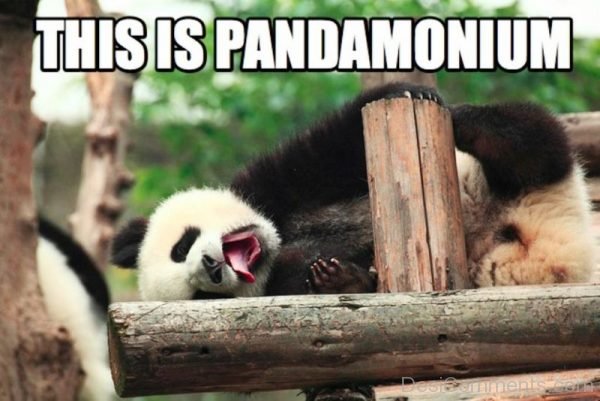 This Is Pandamonium