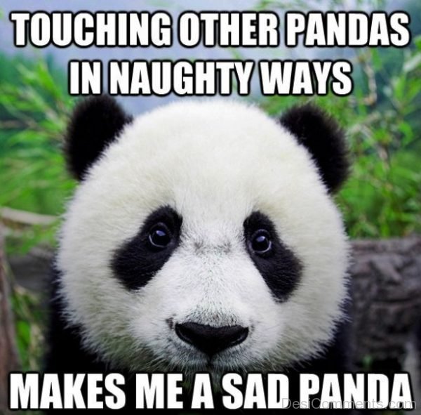 Touching Other Pandas In Naughty Waysjpg
