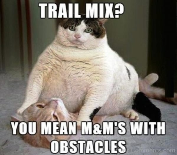 Trail Mix