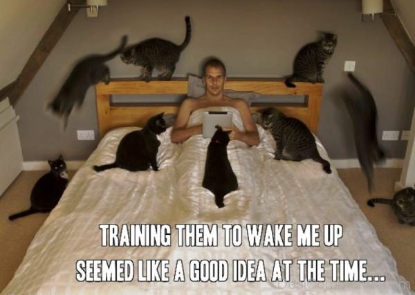 Training Them To Wake Me Up