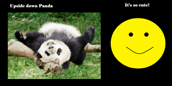Upside Down Panda