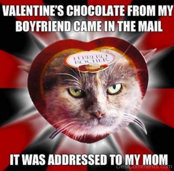 Valentines Chocolate From My Boyfriend