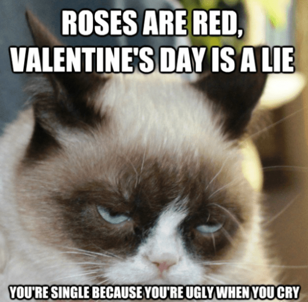 Valentines Day Is A Lie