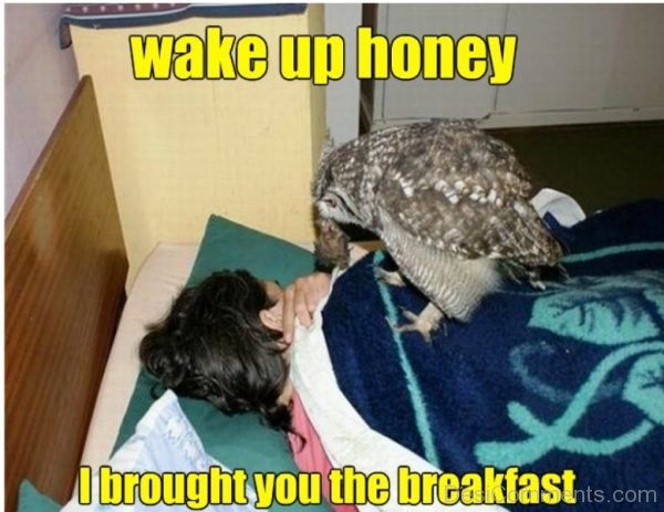 Wake Up Honey