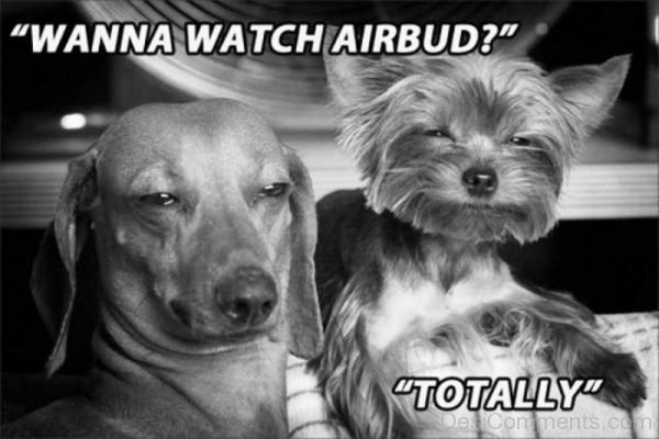 Wanna Watch Airbud